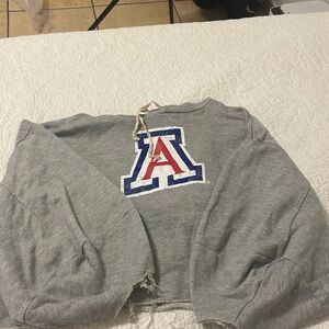 Gray Flying Colors Sweatshirt
